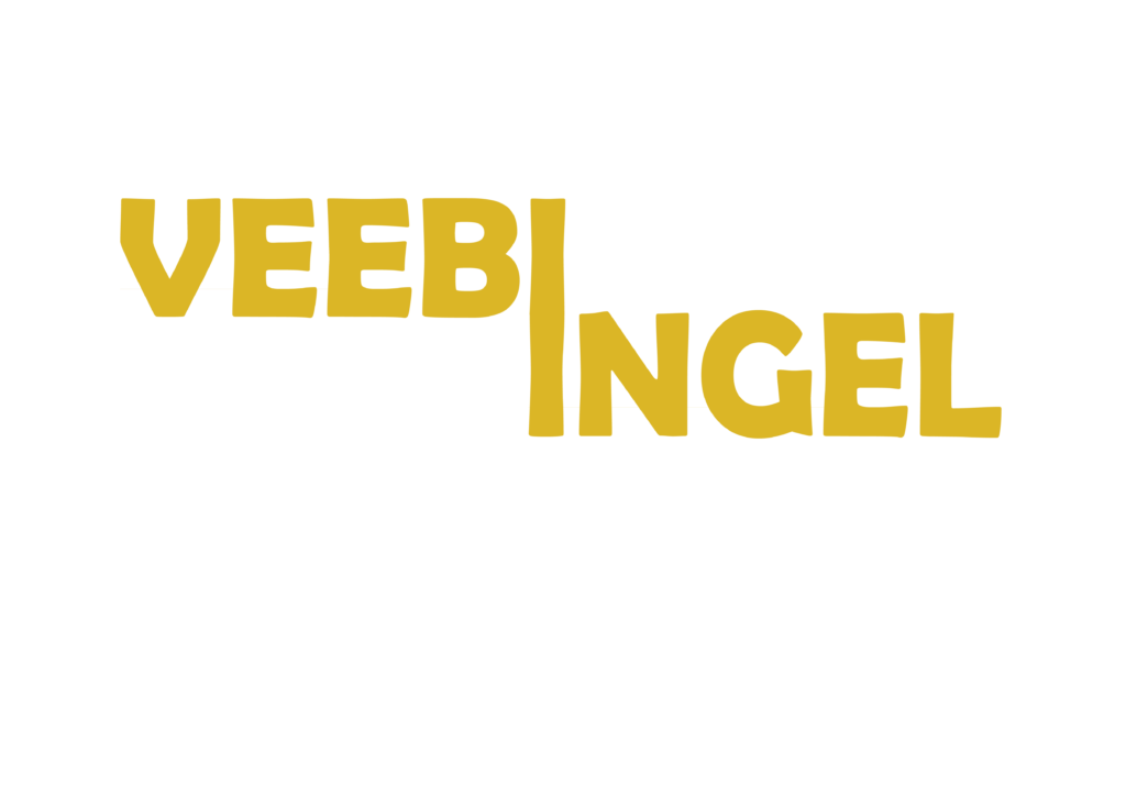 Veebi ingel